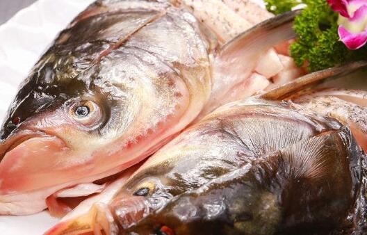 你喜歡的魚(yú)頭能不能吃？-海鮮大禮包